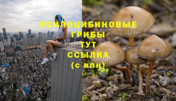 стаф Балахна